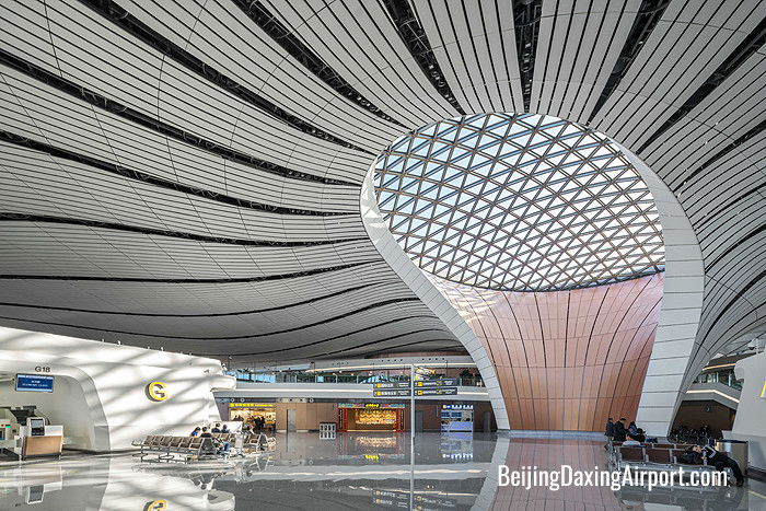 Beijing Daxing Airport Terminal