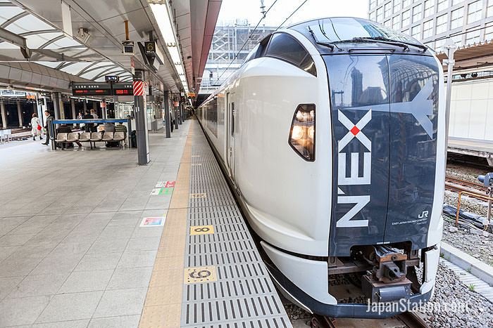 The Narita Express can whisk you from the airport to Tokyo Station in under an hour