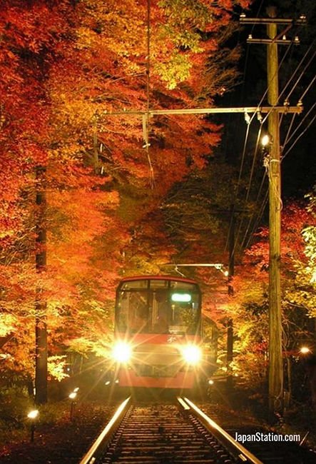 Eizan Railway’s Illuminated Maple Leaf Tunnel