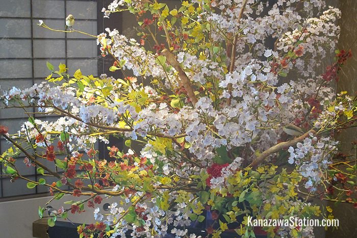 Kanazawa is famous for its confectionery. On the 2nd floor you can find a blossoming tree that is made completely of sugar!