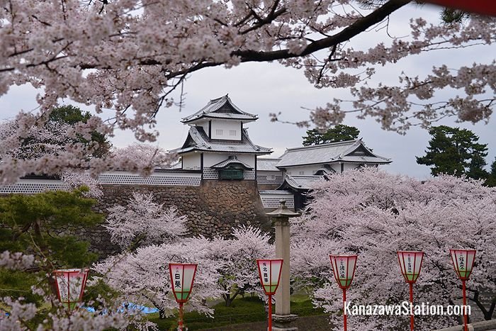 Kanazawa Castle in sakura season