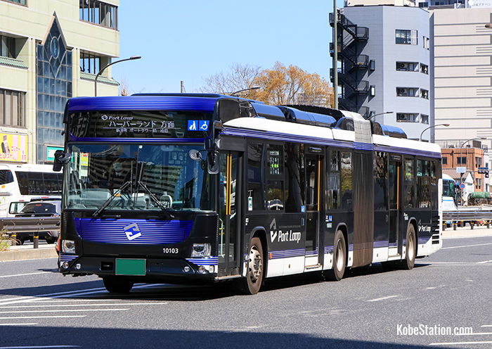 The Port Loop Bus