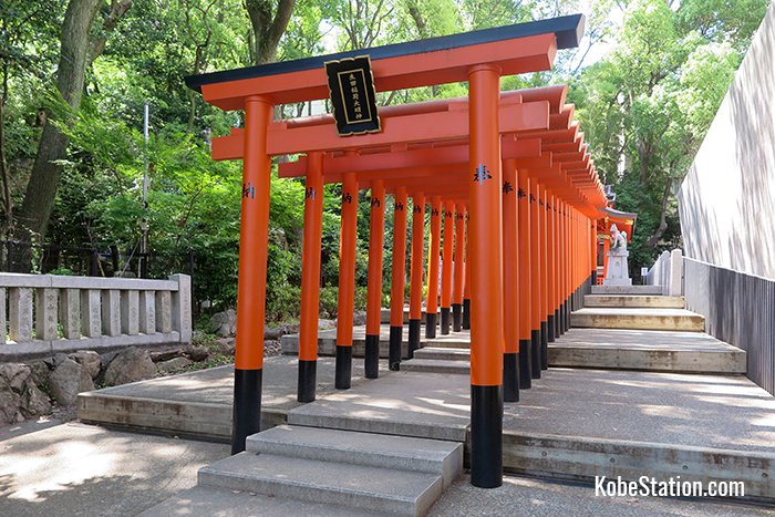 The many torii gates that lead to the Inari Shrine
