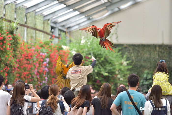 Port Island Area - Kobe Animal Kingdom