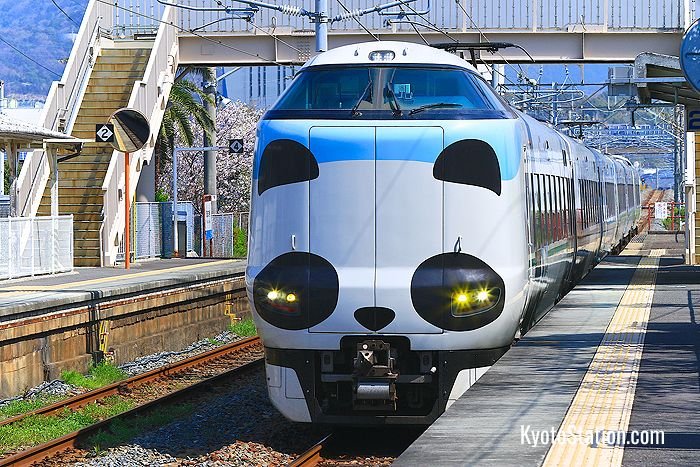 Panda-themed Kuroshio Limited Express
