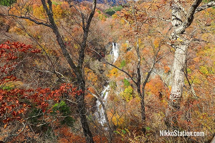 Kirifuri Falls seen through the trees