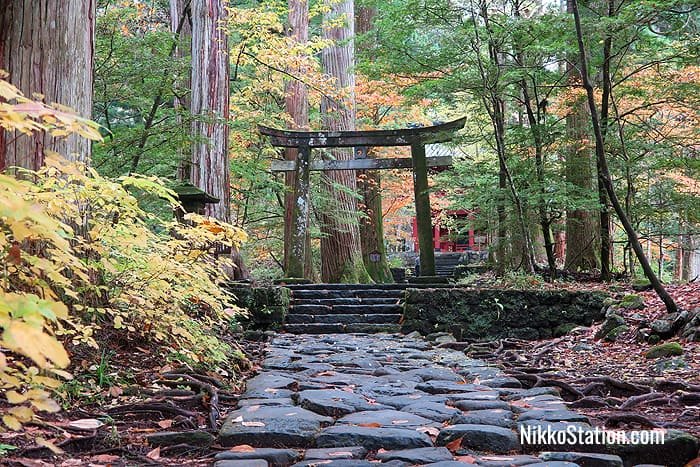 Takinoo Jinja Shrine and the Shiraito Falls