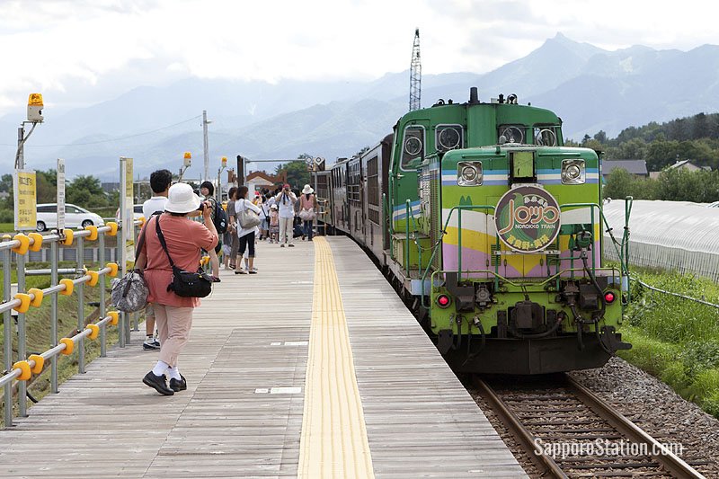 Norokko train at Lavender Farm Station. Norokko is a sightseeing train that only runs during summer between Asahikawa to Furano Station