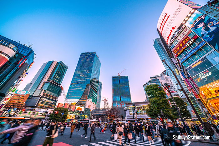 Shibuya Station Area