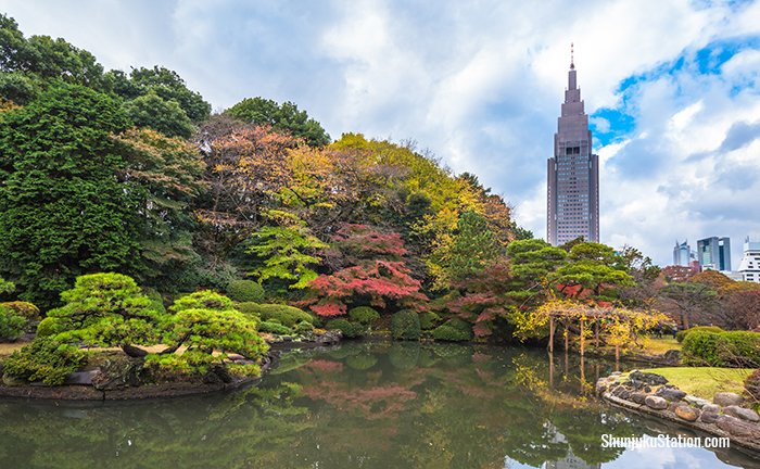 Shinjuku Gyoen Vicinity