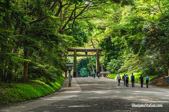 Yoyogi Area