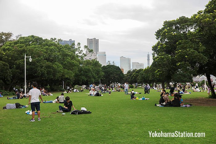 There is a large lawn in the park which can be used for sunbathing or picnicking