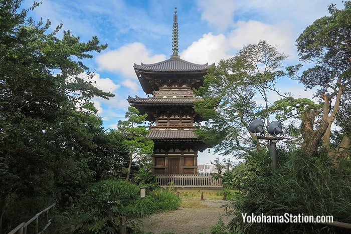 The Three Storied Pagoda of Old Tomyo-ji Temple