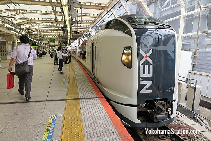 The Narita Express at Platform 10